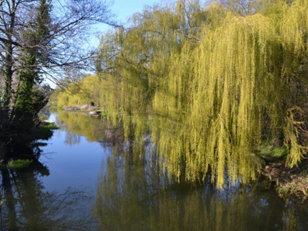 The Oak Rooms Coltishall 外观 照片