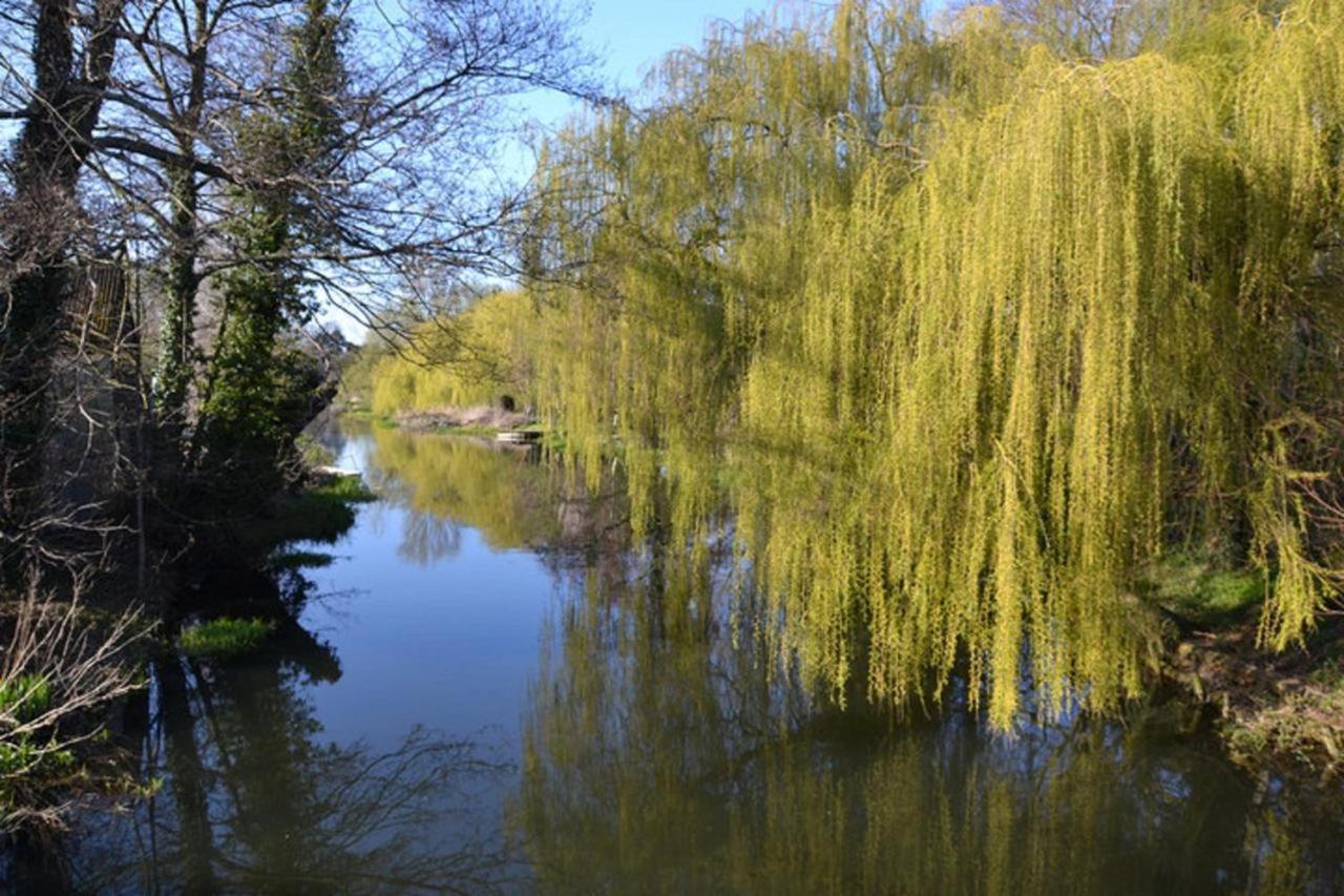 The Oak Rooms Coltishall 外观 照片